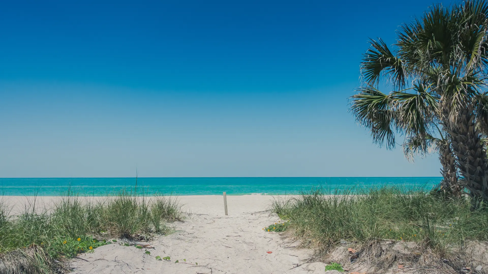 Holmes Beach, Florida coastline